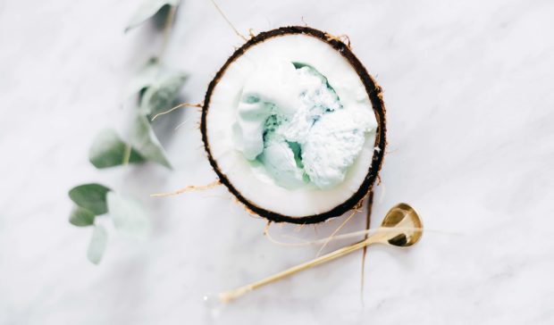 ws gelados vegan